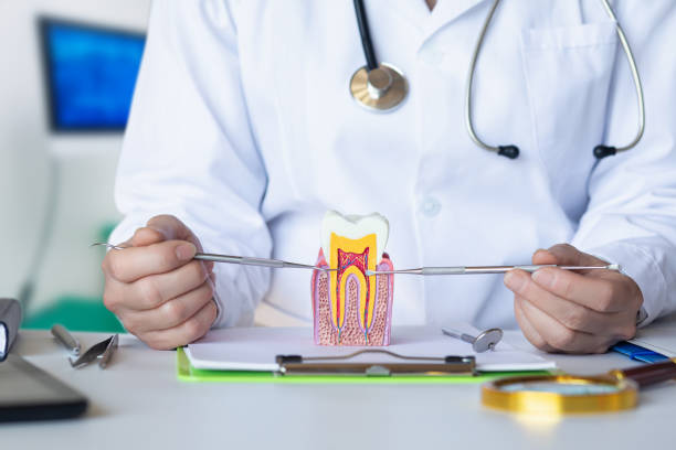 Best Emergency Orthodontic Services in Northwest Harborcreek, PA